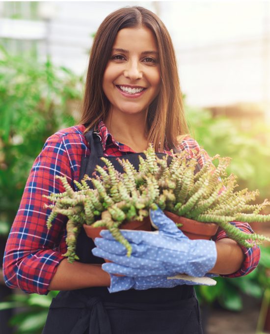 Real Estate Financing Page Real Estate Financing Page